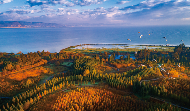 最高可领500元！昆明中转可领“旅居云南” 飞行礼包