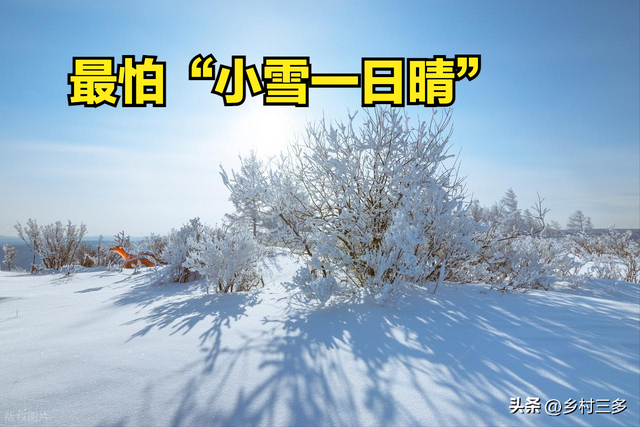 今日小雪，老人说最怕“小雪一日晴”，小雪晴天有啥预兆？