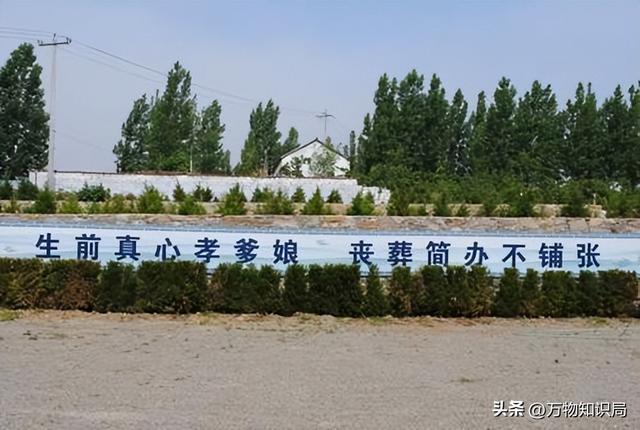 墓碑上的“考、妣、故、先、显”，分别是什么含义？用错会闹笑话