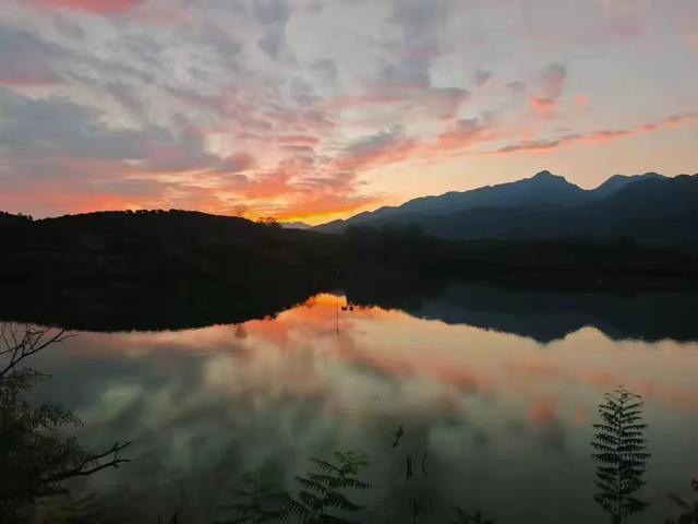 橘乡暖冬,赴一场丰饶之约~