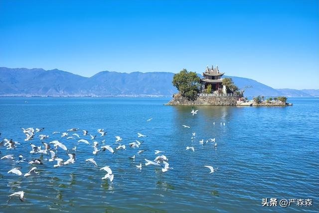 为什么越来越多的人对旅游失去了兴趣？这可能是最中肯的原因