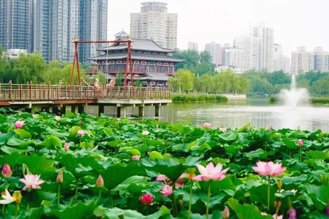 免费！西安地铁直达的6大绝美湖泊
