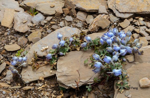 贡嘎大环线：在雪山的凝视下，与艰辛同行之日乌且（原创）
