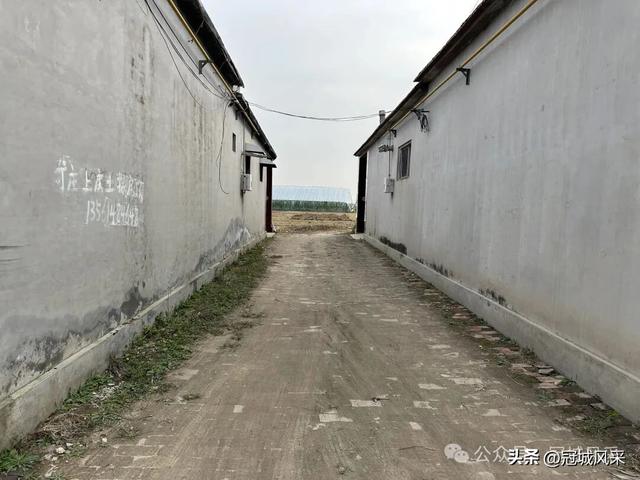 冠县乡韵·桑阿镇轧庄