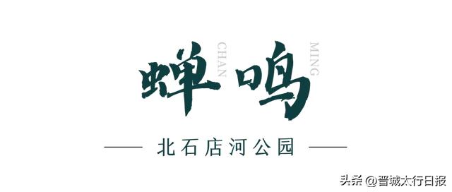 【晋城】嘘！请屏住呼吸，聆听泽州景色里的自然呓语