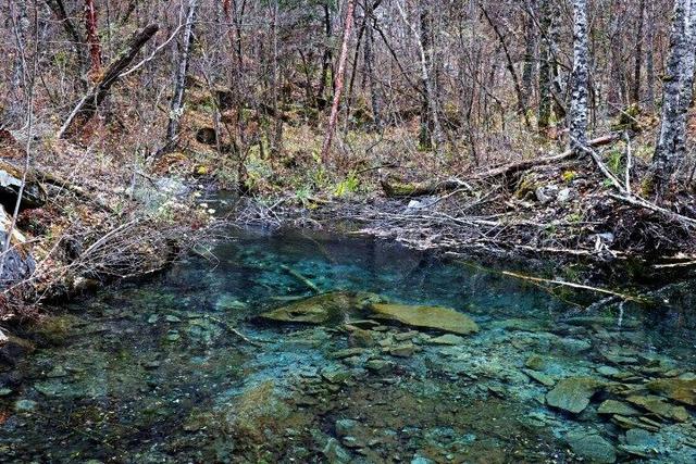 四川这个地方的初冬，是彩色的！