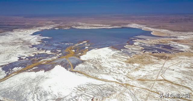 “大雪”时节的景泰盐沼湿地