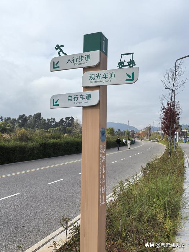 冬天的早上 晒着太阳从大观楼徒步到西山茶马花街 是什么样的感受？