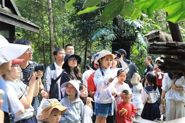 国庆回顾 | 你绝对想不到，这些景区活动有多会玩