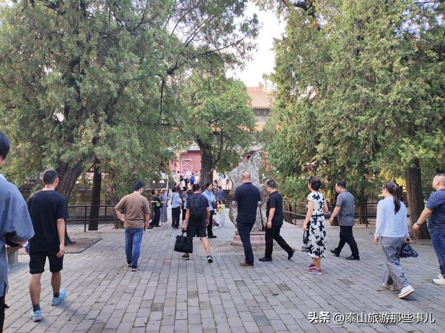 泰安岱庙游玩攻略？有个景点最多只有3%的概率能够游览，还要预约