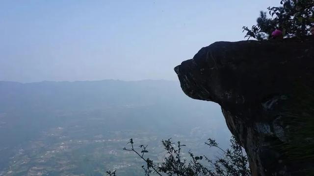 高温退退退！苍溪去暑有“凉”方！