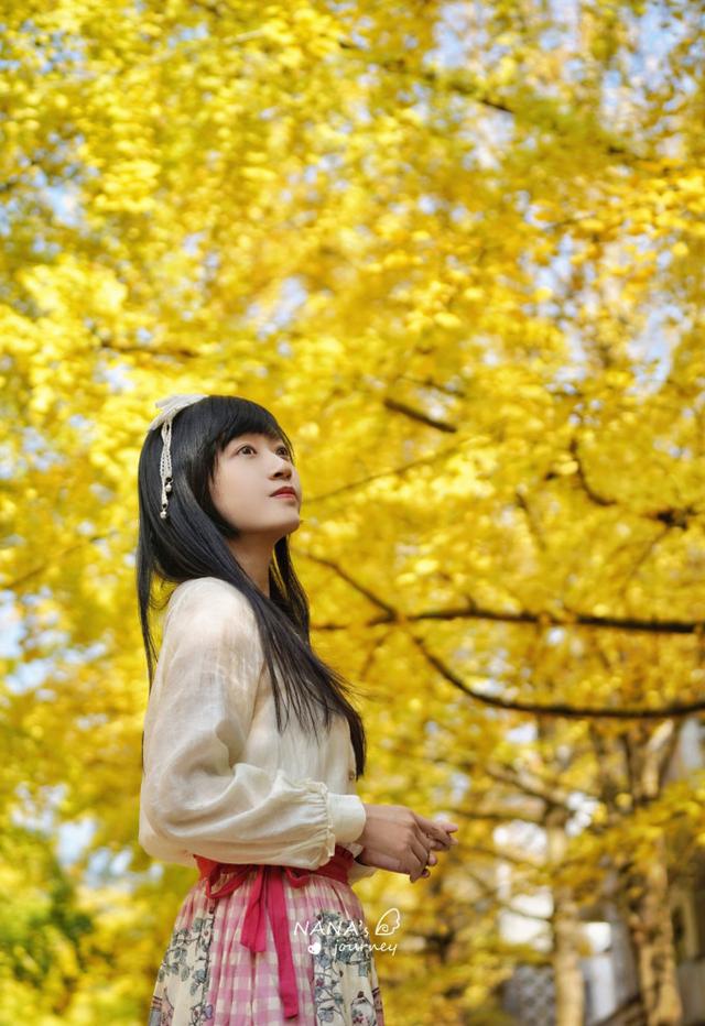 漫游韶关，赴一场山水间的秋日之约