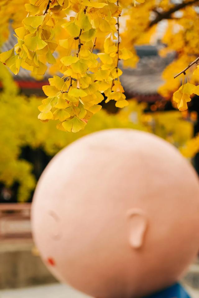 今日大雪 | 打卡这里,定格冬日专属美照