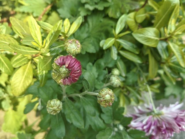 不要向他人倾诉自己的痛苦