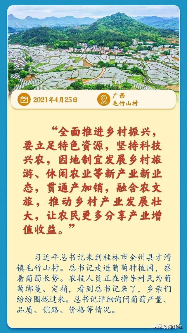 学习新语｜总书记引领推动乡村振兴迈出坚实步伐