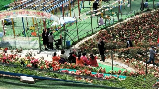 冬日暖阳打卡季，扶风这些宝地晒出满满幸福感