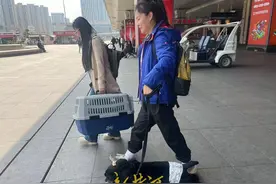 萌宠坐高铁到济南西站了！全国首趟提供高铁宠物托运服务的列车抵达图片