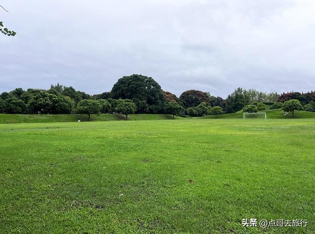 成都公园难得一见的旷野之景，画面超级唯美，地铁公交到达！