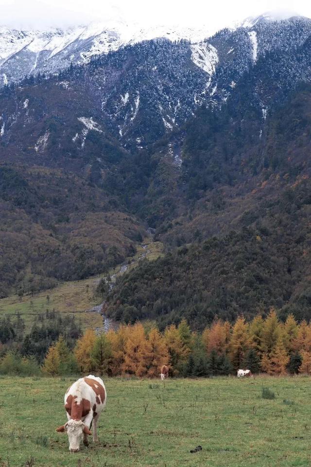 神木垒&达瓦更扎进入美貌开挂模式，请做好相关旅游准备！