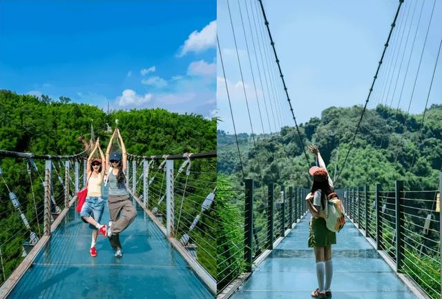 在竹尖上飞行！全网最全尖叫玩法攻略！