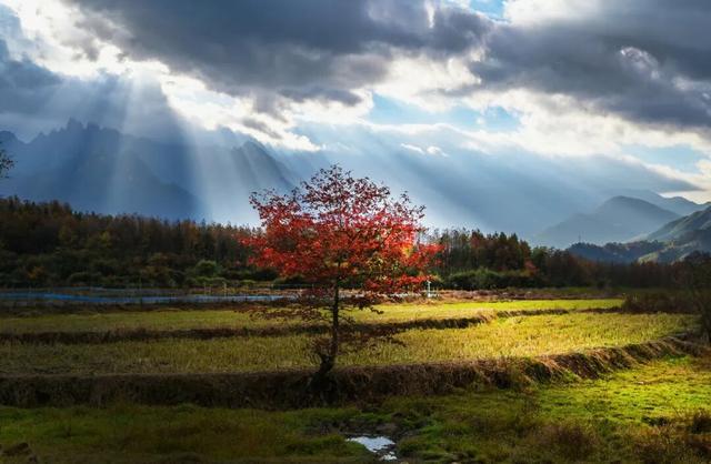 收藏！摄影师私藏的山河秋色，藏着最浓的诗意 | 皖美秋日