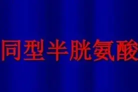 同型半胱氨酸究竟是什么？为什么医生建议定期化验？图片