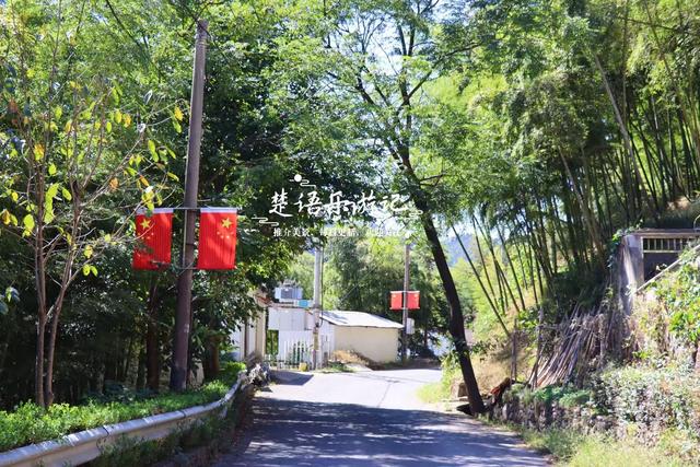 浙江宁波的桃源级森林公园，藏着一条黄金古道，景美但需做好攻略