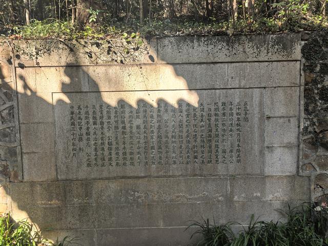 南京紫金山郊野徒步