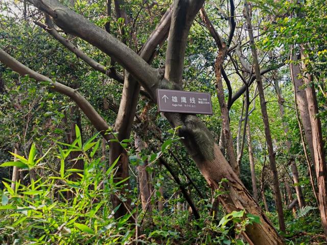 这座我去了又去的江南小城，魅力实在太大了