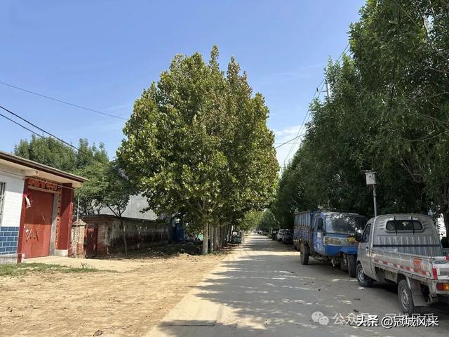 冠县乡韵·定远寨镇前杏园村