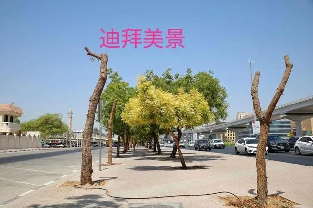福地～中国