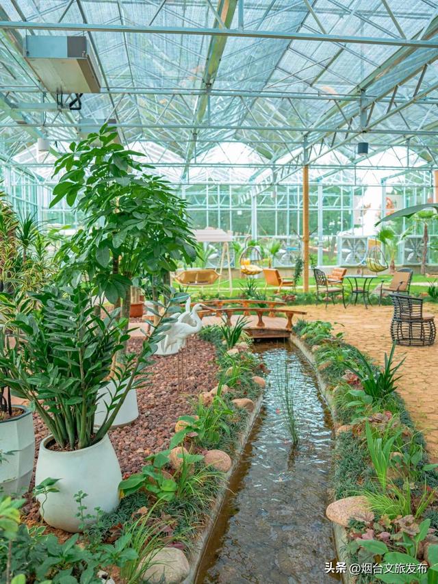 【乐游烟台】周末好去处丨任贤齐开唱+神仙秋景，烟台太好玩了