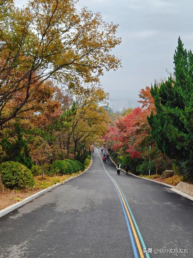 【乐游烟台】一键收藏！烟台Parkwalk也太太太出片了