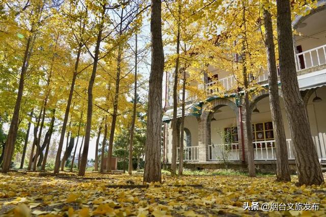 【乐游烟台】现在就冲！烟台这几处街景美到开挂