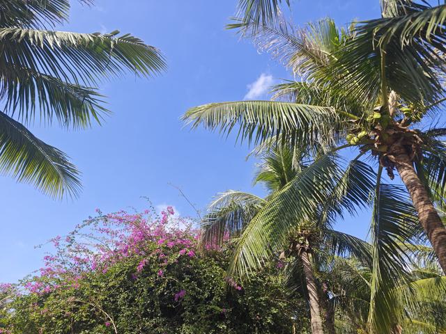 从学苑大道入大沙河绿过大学城后进深圳弯公园流花山景点【高清】