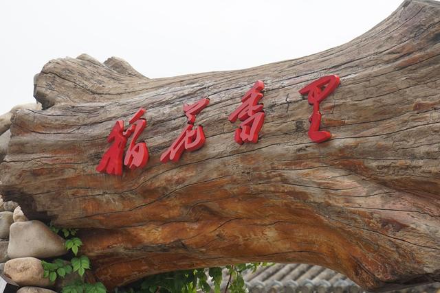 迁安稻花香里度假村，领略长城水乡的魅力，来一场特色乡村休闲游