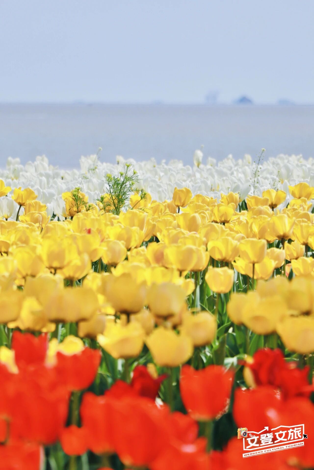 乘着高铁游威海 | 下一站，文登！