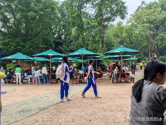 参观广州长隆野生动物园，全程感觉眼累手累腿不累