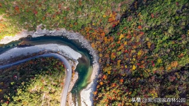 黑河的美，一直都在 | 云游黑河的秋日画卷