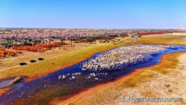 内蒙古杭锦旗：湿地秋景惹人醉