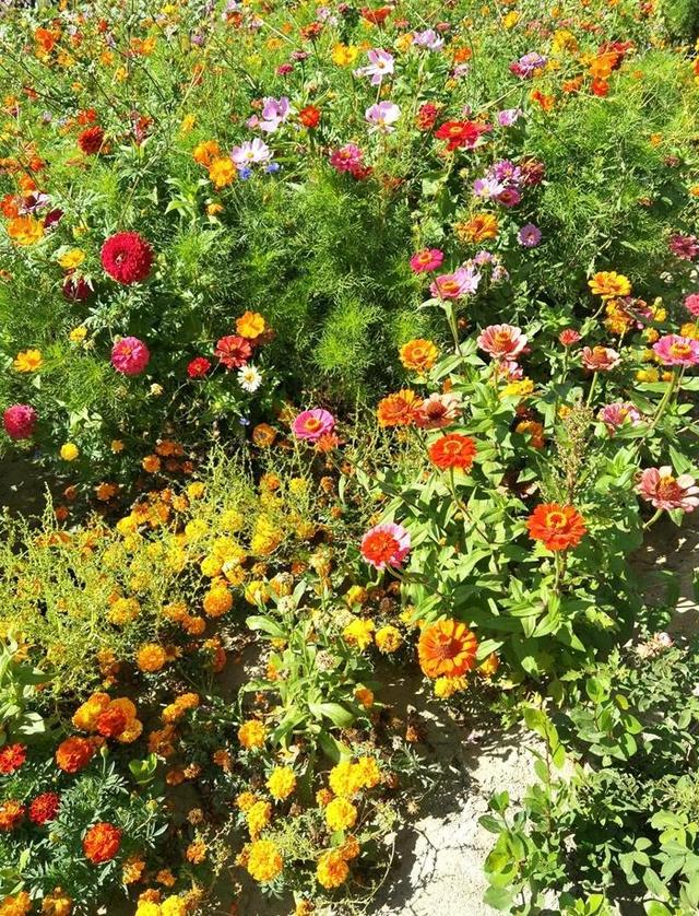 游新疆乌伦古湖海上魔鬼城