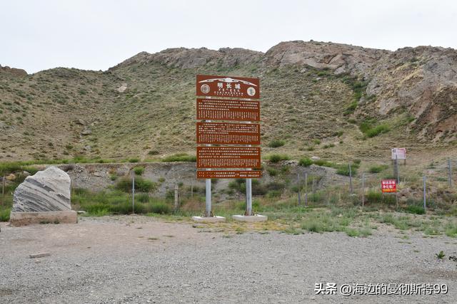 海边游记｜沙海狂飙与绿洲寻踪：内蒙古腾格里沙漠一日“历险记”