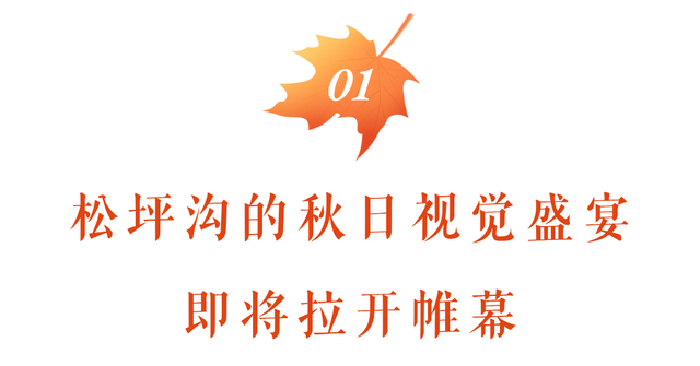 松坪沟的秋天，把油画里的颜色都搬来了吧