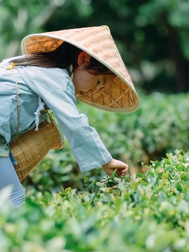 与清明节连休6天！成都中小学春假15条精品研学线路发布