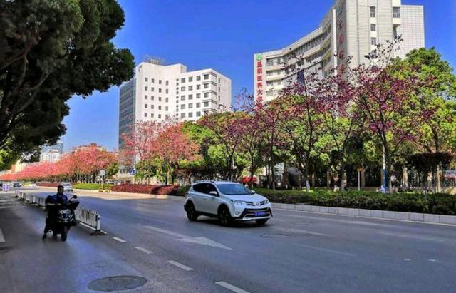 云南唯一的“特大城市”，面积比北京、成都大，人口超过800万