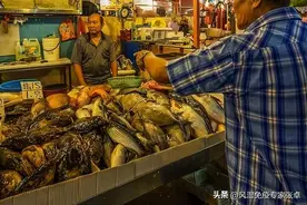 43岁大爷患痛风，天天喝车前草水降尿酸，效果如何？图片