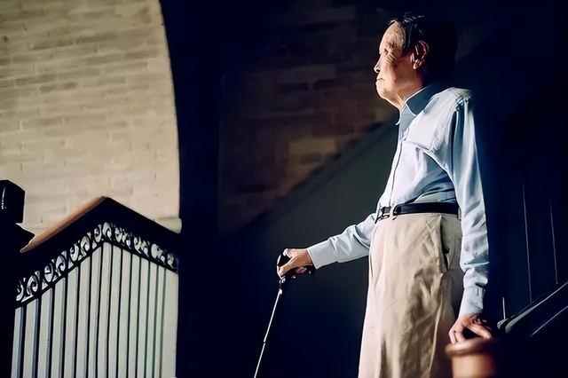 被世人误解的杨振宁，贡献有多大？比肩牛顿，诺奖都不是他的巅峰