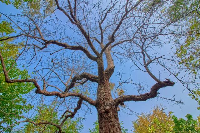 太全面了！8条游玩线路+京郊汤泉！带您玩转北京这里！（1）