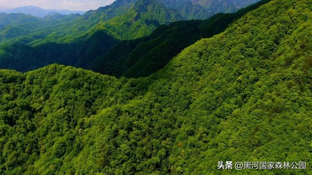西安周边避暑天花板！凉快10℃的宝藏地！
