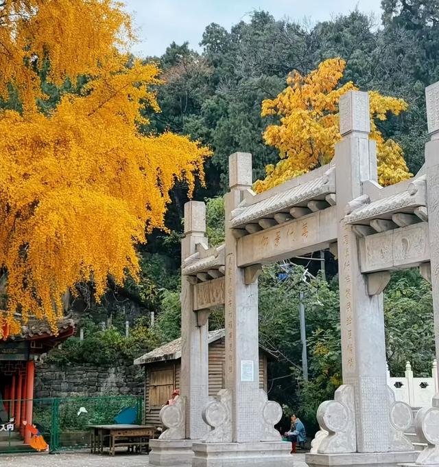 马上来“临” “沂”起过年｜爬一座沂蒙的山